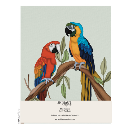 the macaws art print packaging