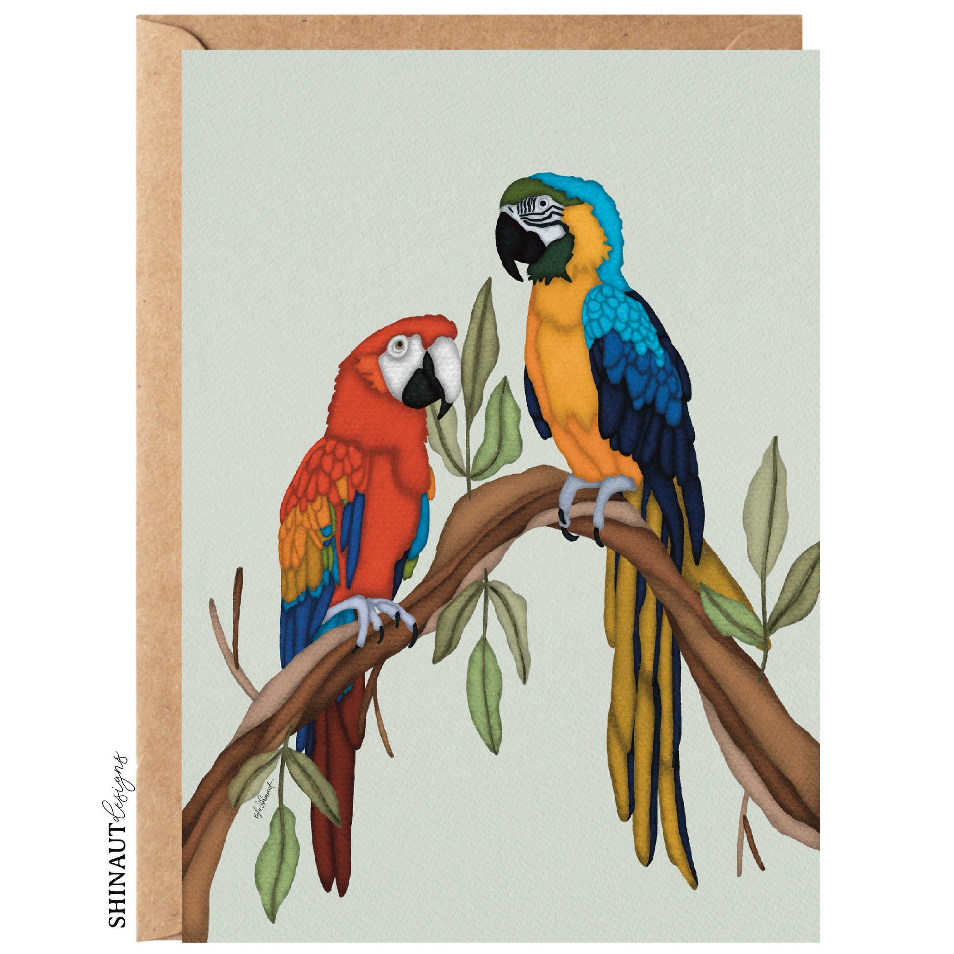 the macaws greeting card with kraft envelope