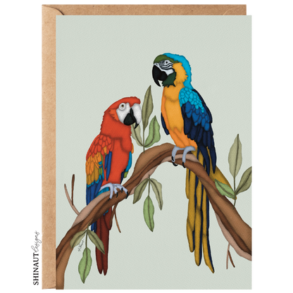 the macaws greeting card with kraft envelope