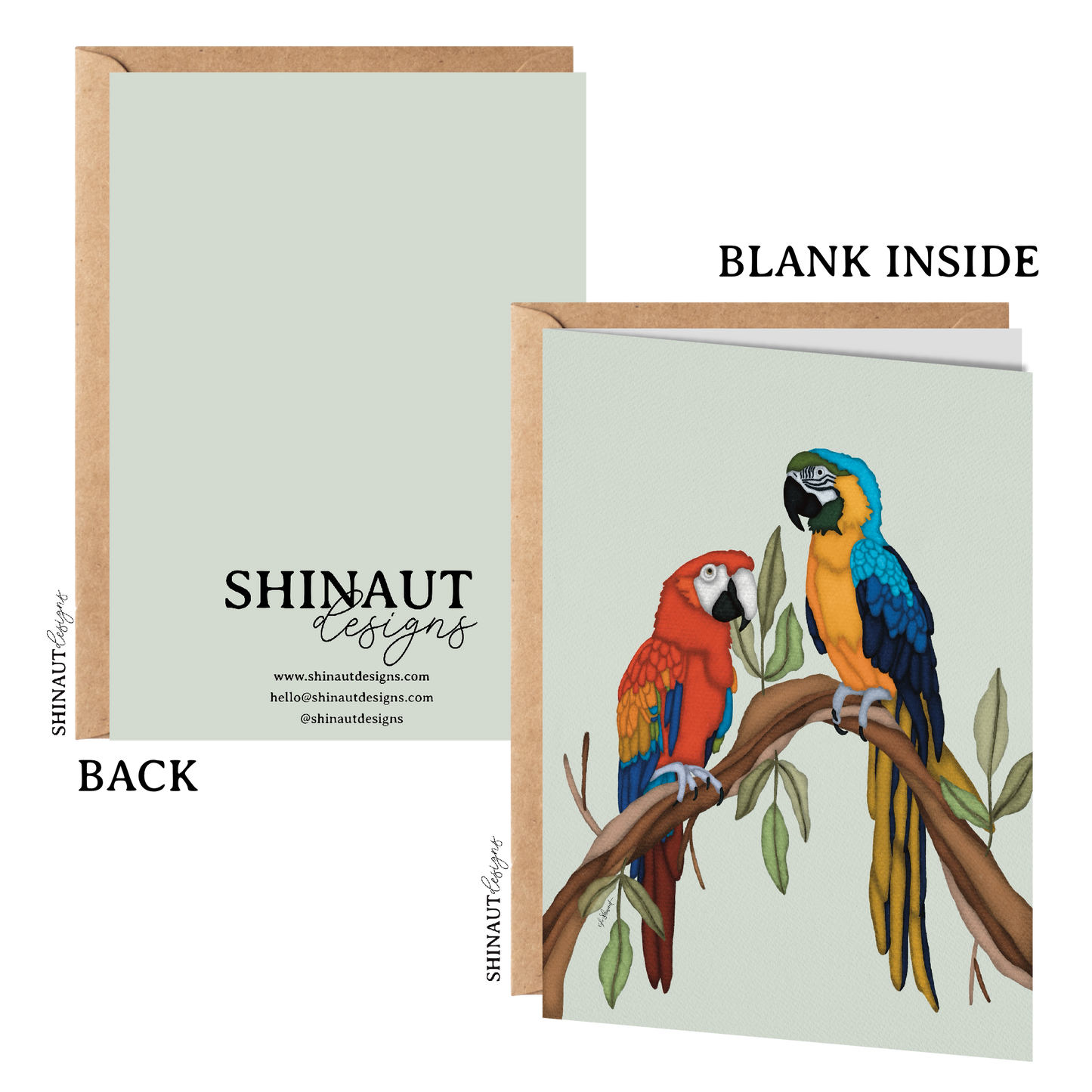 the macaws greeting card with kraft envelope showing front, inside and back of card