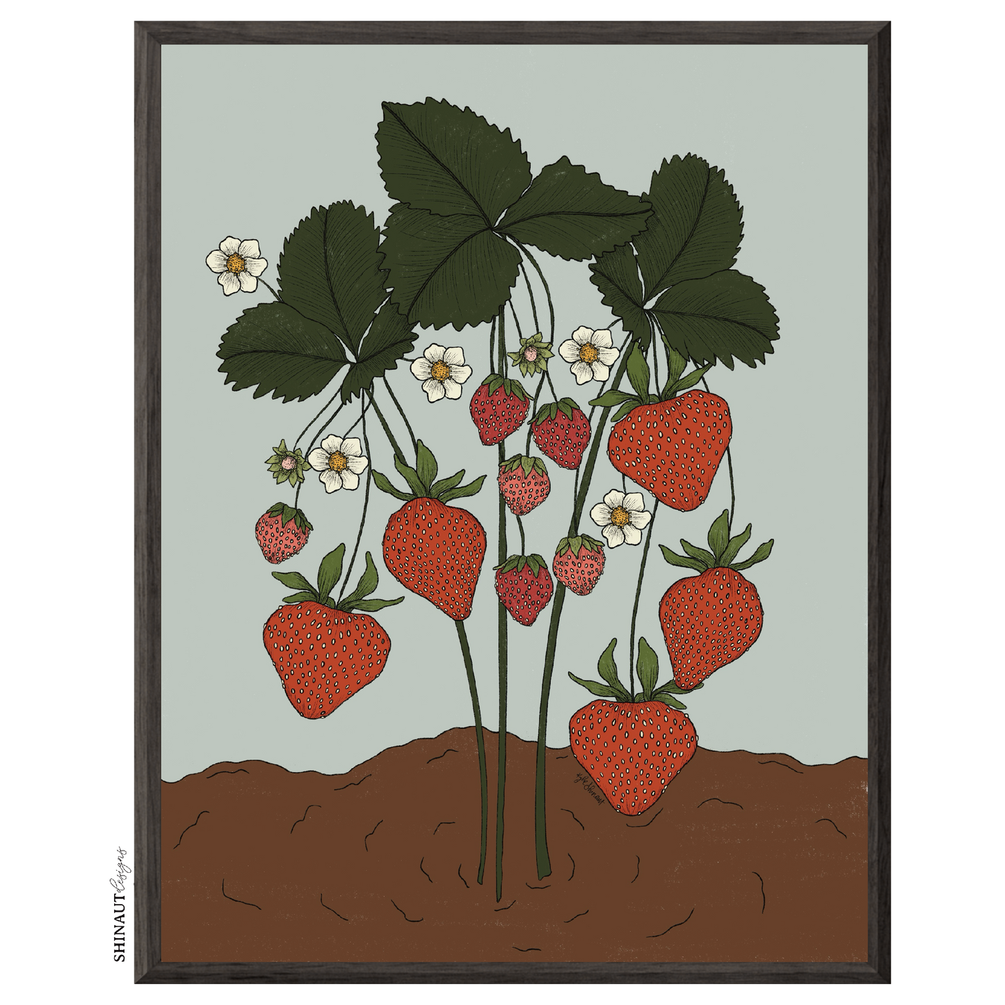 the strawberry plant art print in black picture frames