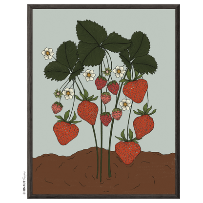 the strawberry plant art print in black picture frames