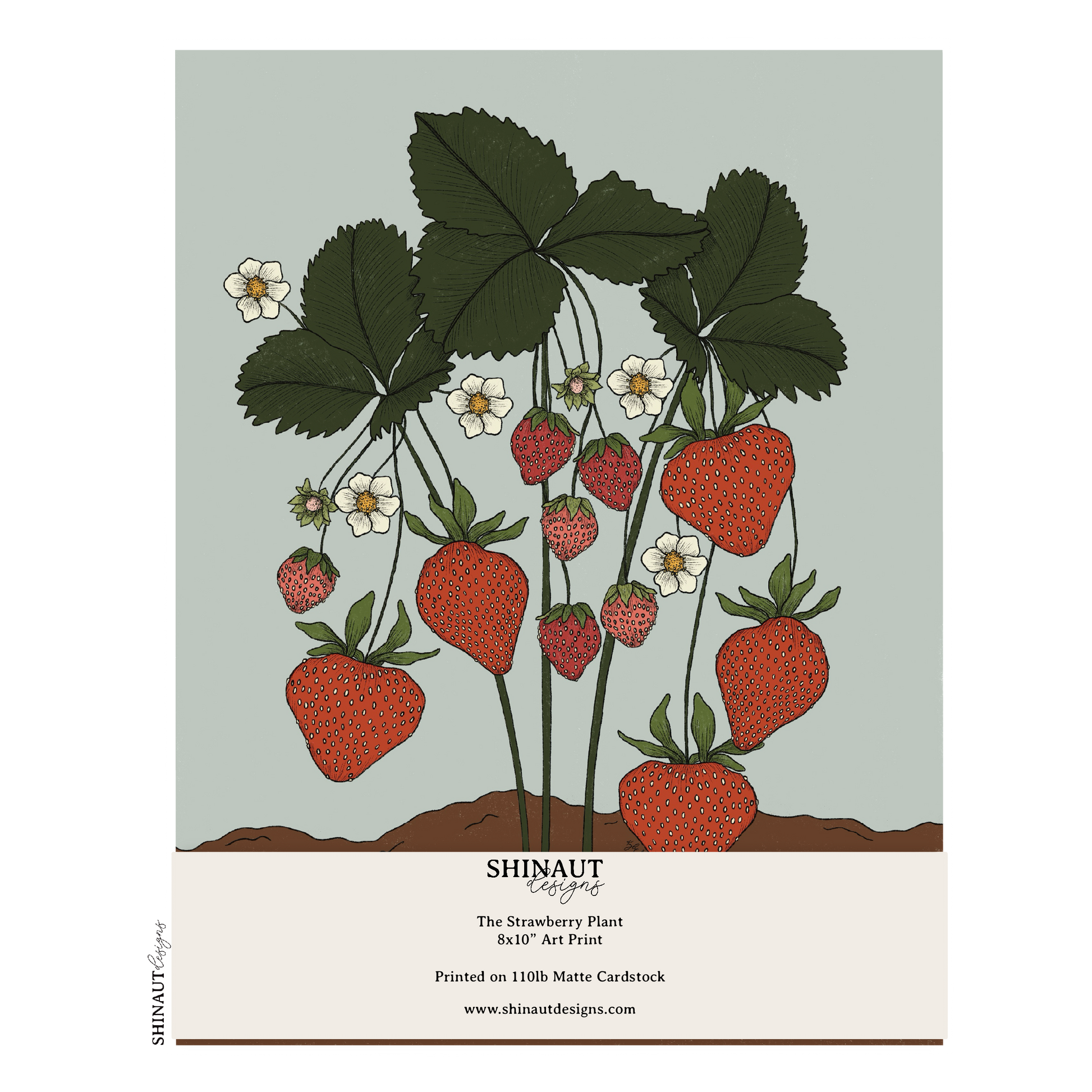 the strawberry plant art print packaging