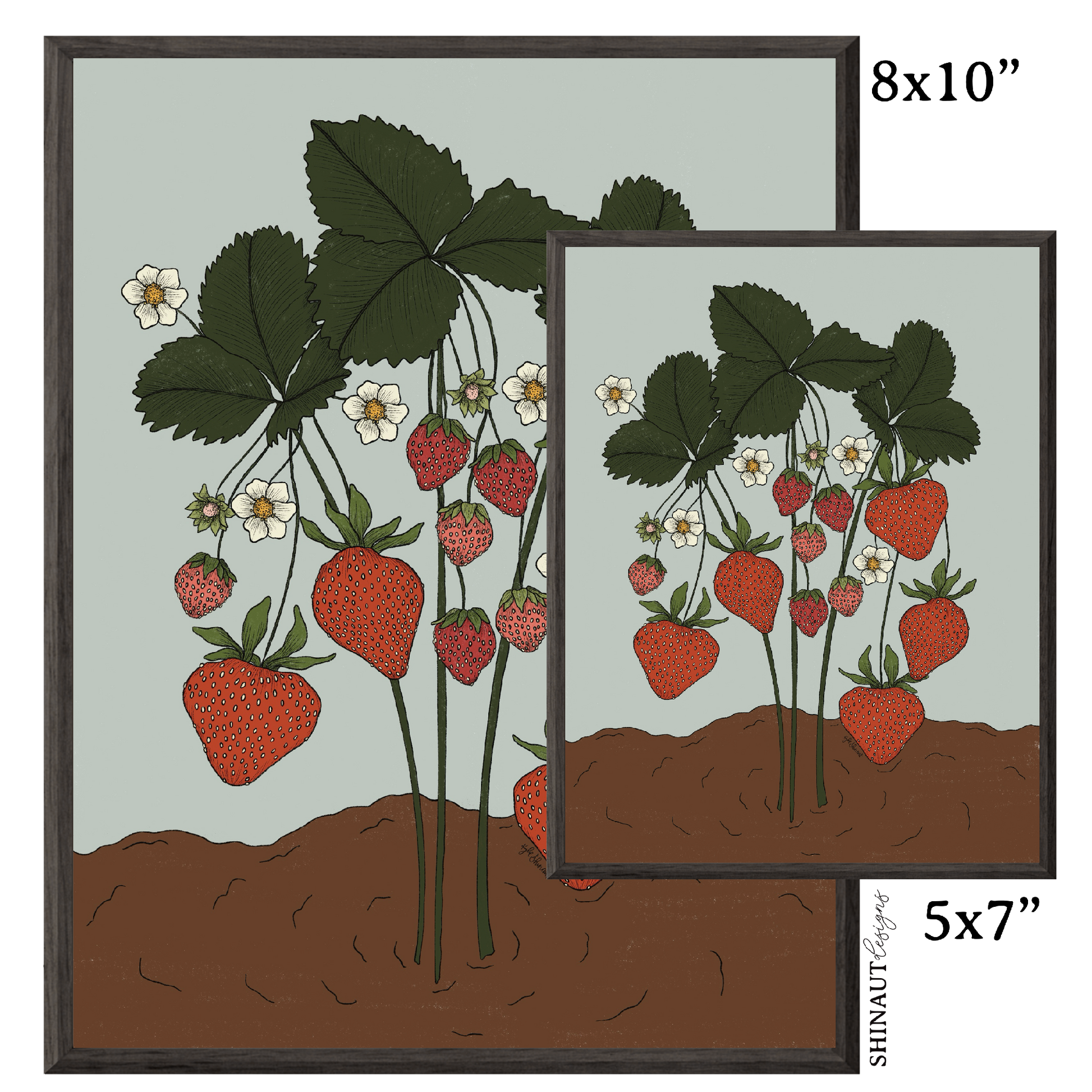 the strawberry plant art print size comparison in black picture frames