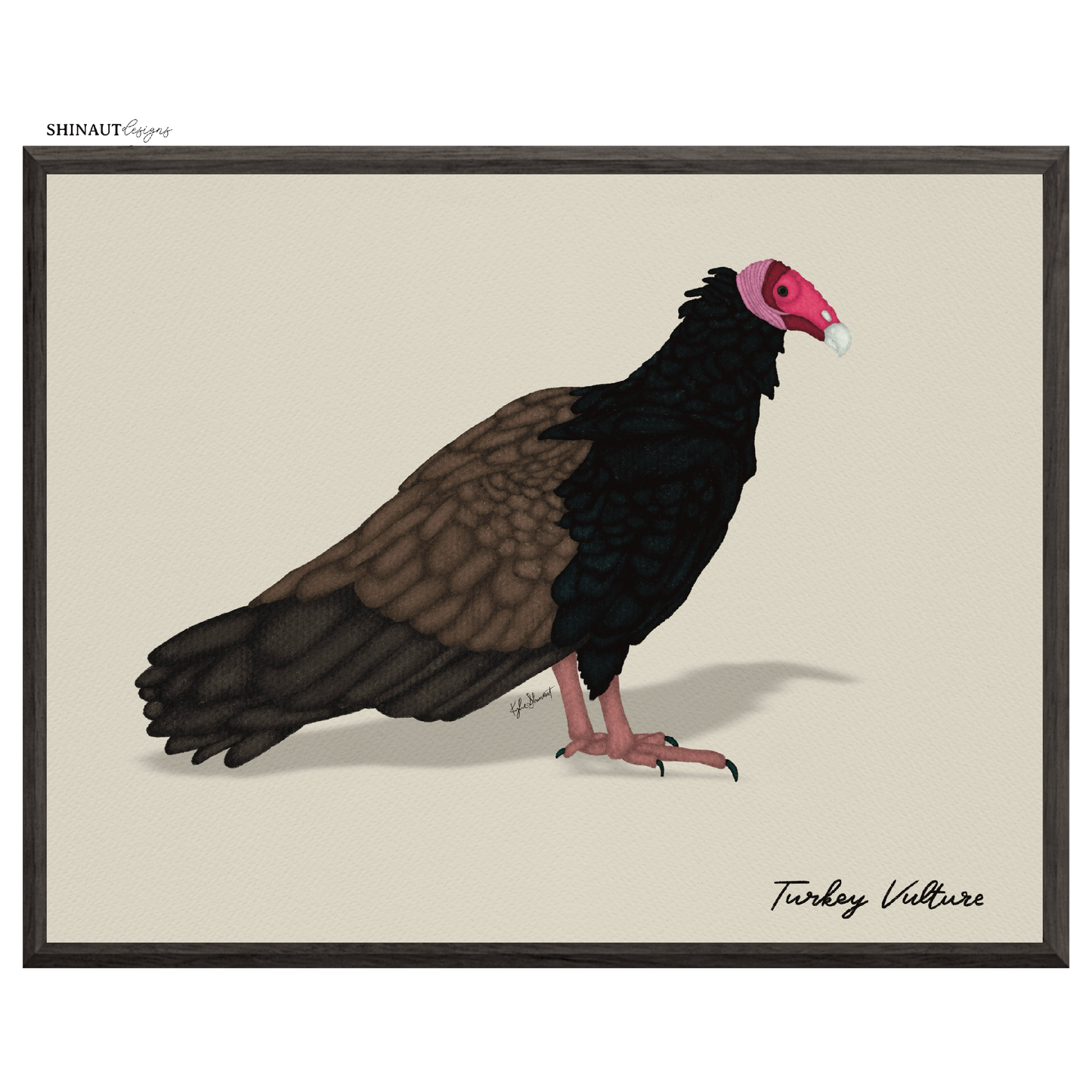 turkey vulture art print in black picture frames