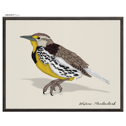 western meadowlark art print in black picture frames