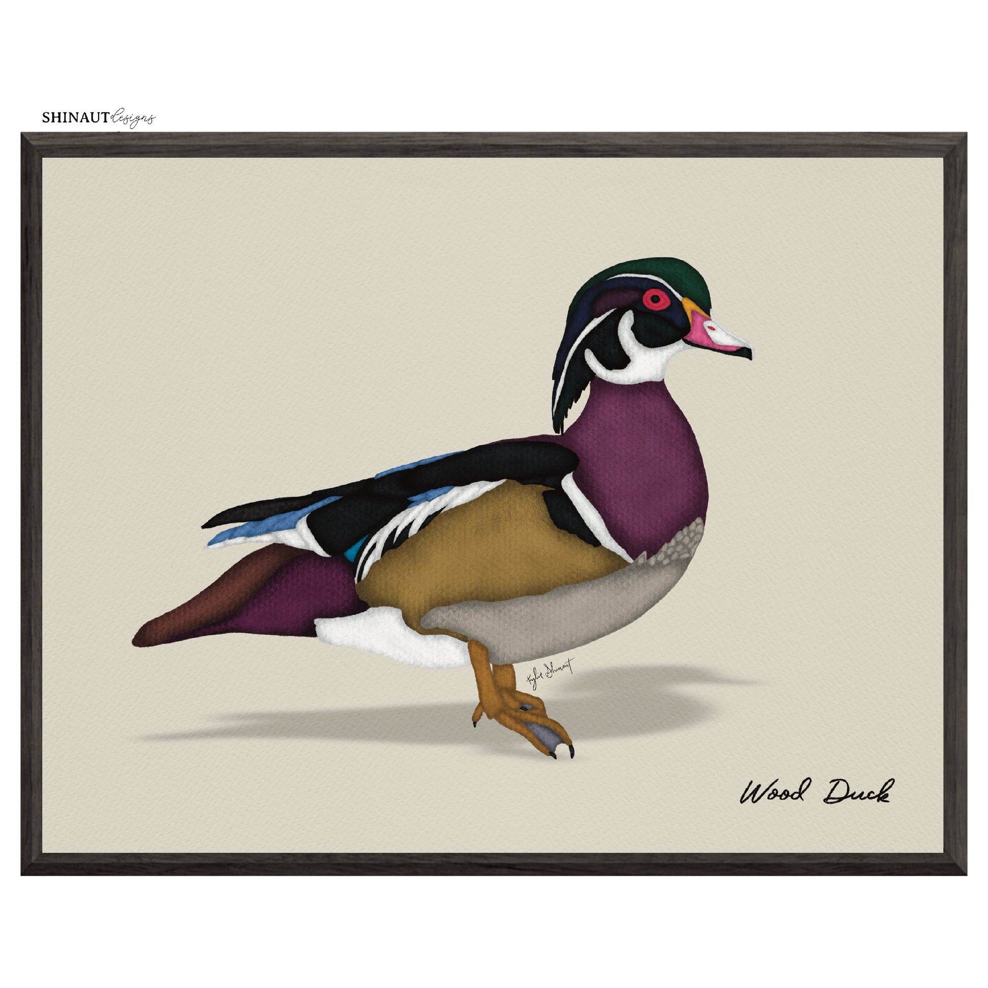 wood duck art print in black picture frames