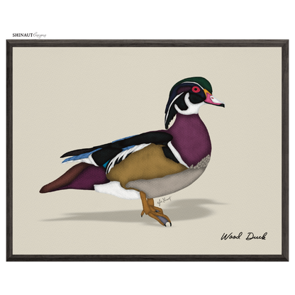 wood duck art print in black picture frames