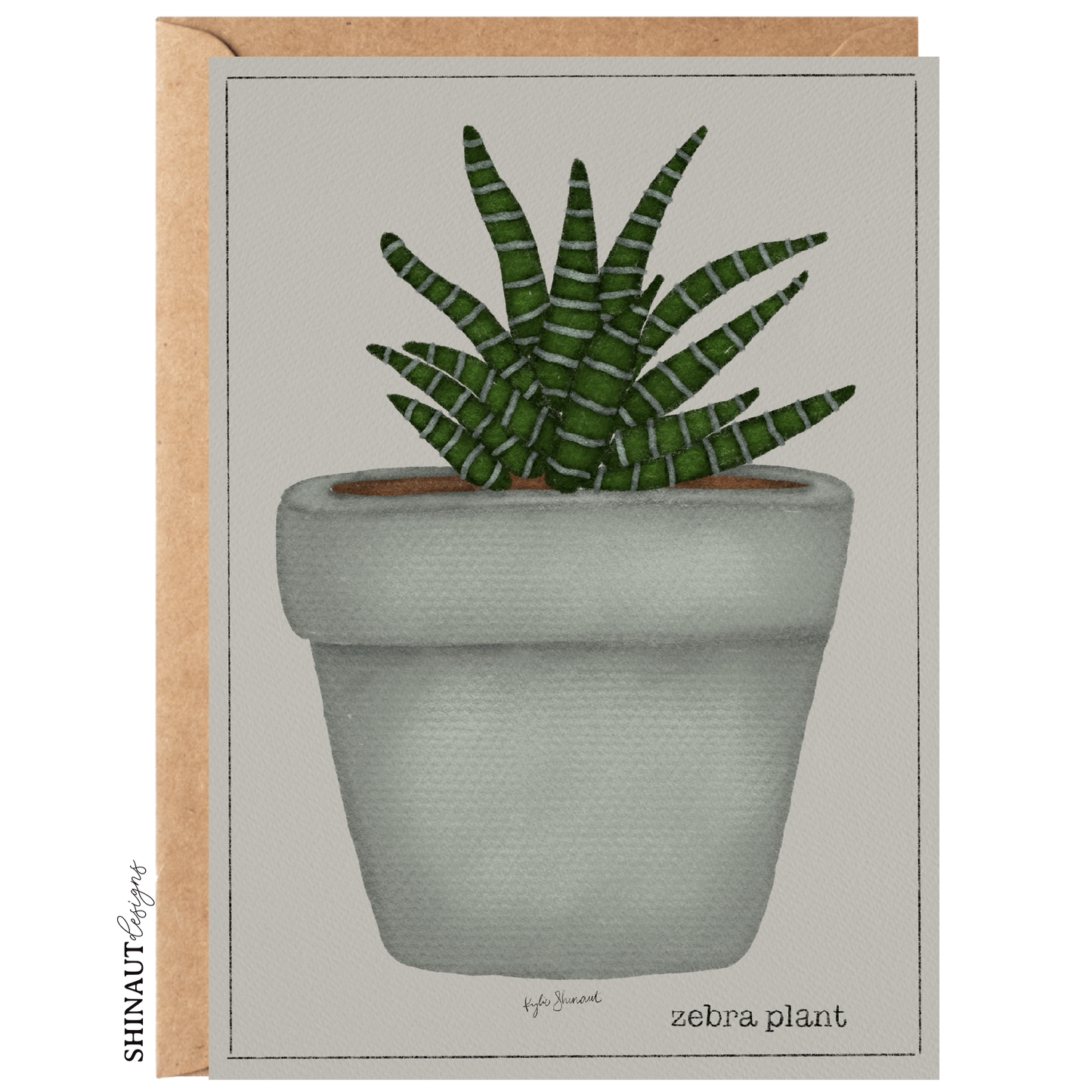 zebra plant succulent greeting card with kraft envelope