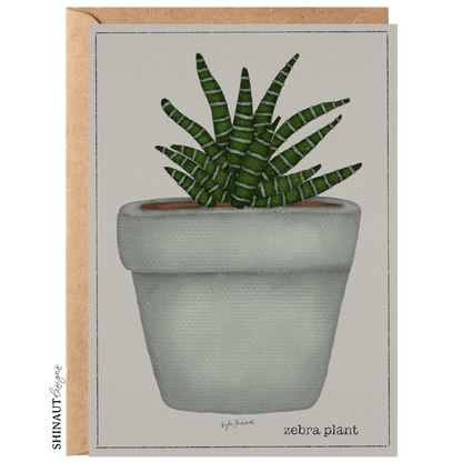 zebra plant succulent greeting card with kraft envelope